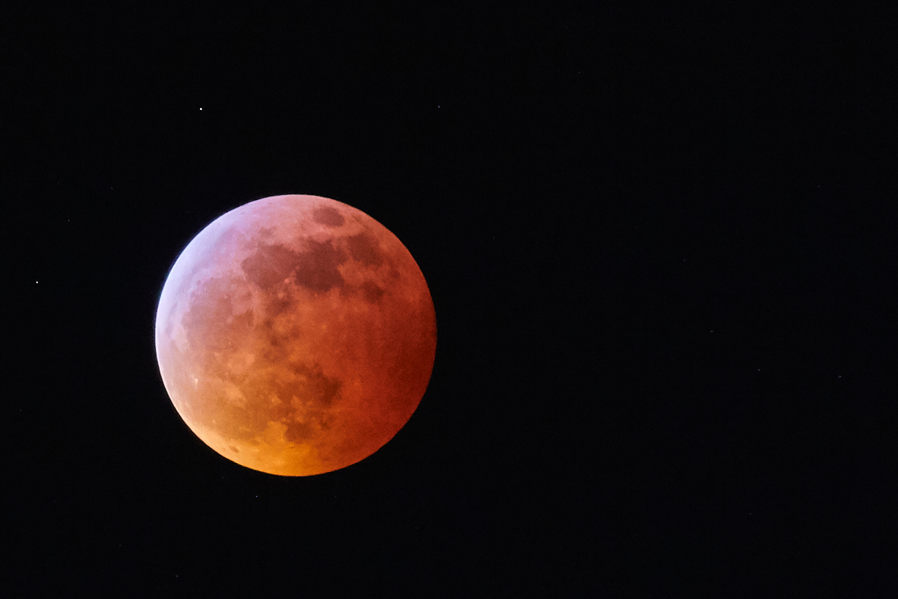Belated photo of the supermoon eclipse from January 20, 2019.